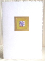 Gold Purple Daisy