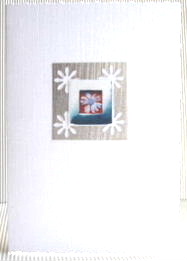 Silver Daisy