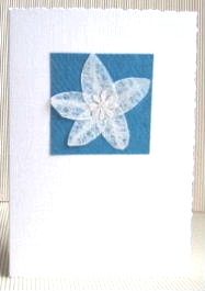 White Flower