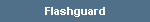 Flashguard