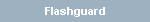 Flashguard